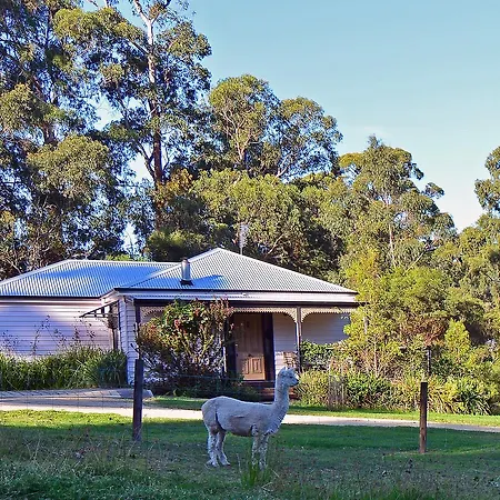 Araluen Park Cottages Lakes Entrance Exterior photo