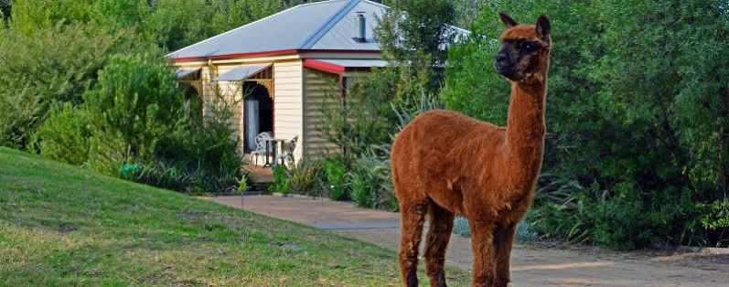 Araluen Park Lodge